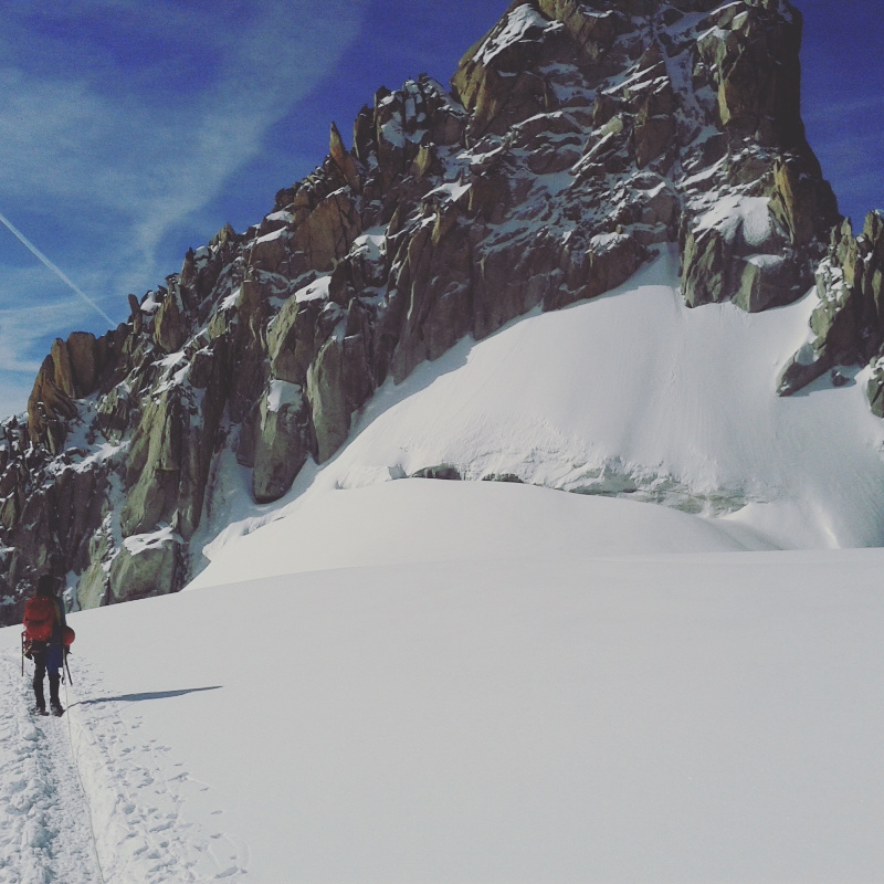 glacier walk